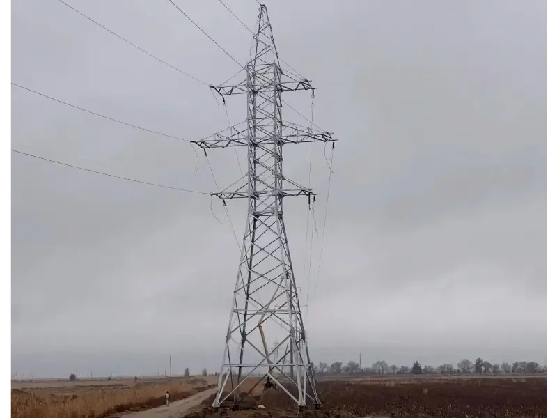 Povratne informacije strank o Mao Tongu